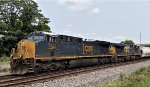 CSX 7207 leads E700.